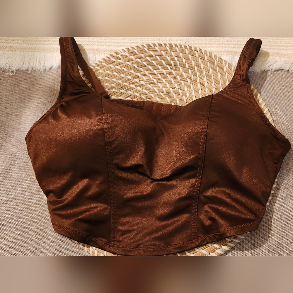 NWT Victoria's Secret PINK Brown Satin Lined Corset Bustier Bra Size L
